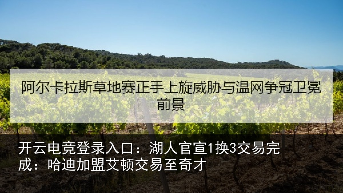 开云电竞登录入口：湖人相关情况迪加相关情况