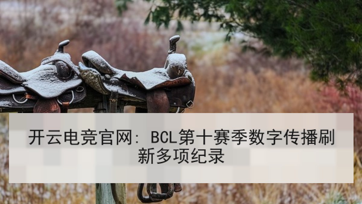 开云电竞官网: BCL第十赛季数字传播刷新多项纪录