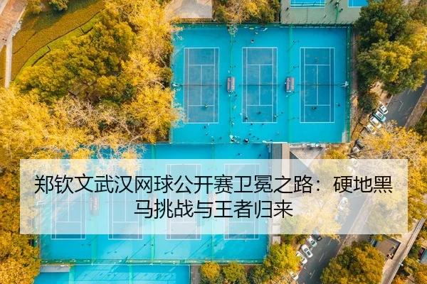 zheng-qin-wen-wu-han-wang-qiu-gong-kai-sai-wei-mian-zhi-lu-ying-di-hei-ma-tiao-zhan-yu-wang-zhe-gui-lai-3-596.jpg